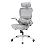 Sihoo B100 Pro Classic Office Chair