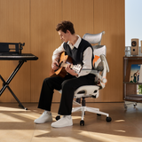 Sihoo B100 Pro Classic Office Chair