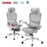 Sihoo B100 Pro Classic Office Chair