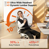 Sihoo B100 Pro Classic Office Chair