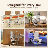 Sihoo B100 Pro Classic Office Chair