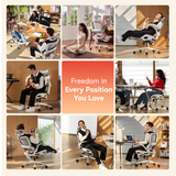 Sihoo B100 Pro Classic Office Chair