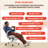Sihoo B100 Pro Classic Office Chair