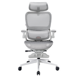 Sihoo B100 Pro Classic Office Chair
