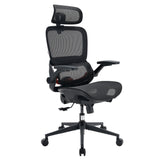 Sihoo B100 Pro Classic Office Chair