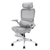 Sihoo B100 Pro Classic Office Chair