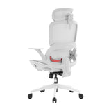 Sihoo B100 Ergonomic Office Chair With Flip-Up Armrest