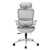 Sihoo B100 Pro Classic Office Chair