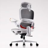Sihoo B100 Ergonomic Office Chair With Flip-Up Armrest