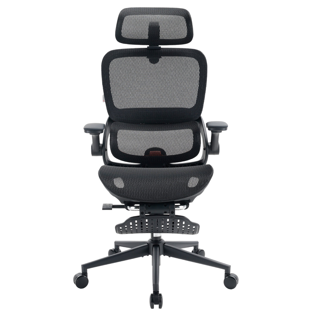 Sihoo B100 Pro Classic Office Chair