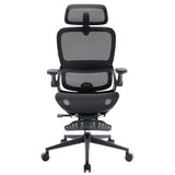 Sihoo B100 Pro Classic Office Chair
