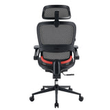 Sihoo B100 Pro Classic Office Chair