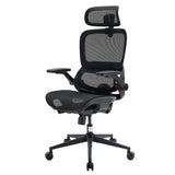 Sihoo B100 Pro Classic Office Chair
