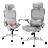 Sihoo B100 Pro Classic Office Chair