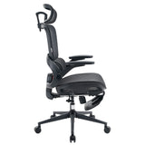 Sihoo B100 Pro Classic Office Chair