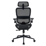 Sihoo B100 Pro Classic Office Chair