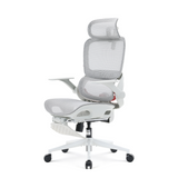 Sihoo B100 Ergonomic Office Chair With Flip-Up Armrest