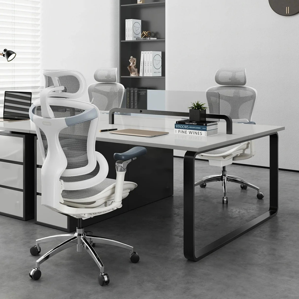 SIHOO Doro C300 Pro Ergonomic Office Chair with Adaptive Lumbar & Breathable Mesh